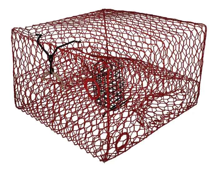 Crab /lobster/fish trap PVC Coated Hexagonal Wire Mesh