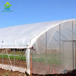 All'ingrosso prezzo a buon mercato Singe-span Green House struttura in metallo agricoltura pomodoro serra Tunnel