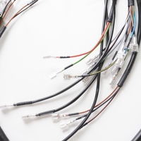 Adaptor Kabel Tembaga Berlapis Timah 2-Pin Shanyou Electronic dengan Selubung Isolasi PVC, Panjang 1 Meter, Tegangan 12V, IP44 untuk Mobil