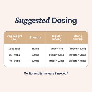 Suplementos Probióticos para Perros de Marca Privada OEM/ODM, Masticables Suaves para Calmar a los Perros y Aliviar la Ansiedad en Mascotas - Product Image 6