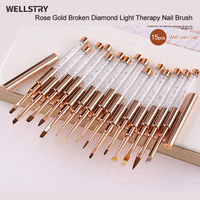 Kit de manucure professionnel 15 pièces en nylon pour ongles, avec stylo à gel pour peinture, dessin de rayures, fleurs et motifs français, manche or rose, pour vernis gel.