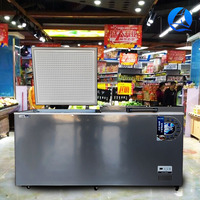 Congélateur coffre horizontal commercial à double porte pour supermarché, refroidissement par air, sans givre