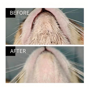 Baume dégraissant pour chat avec extrait de sauge sclarée, pâte oléogènérante qui dissout l'huile et élimine le <span class=keywords><strong>menton</strong></span> noir et la queue grasse - Product Image 3