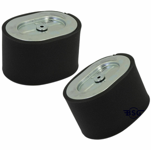 Filtro de Aire Original Briggs & Stratton 799818, Pieza de Repuesto - Product Image 1