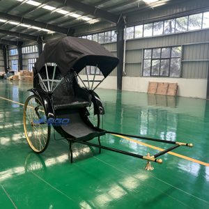 Rickshaw, Carroza de Caballos de 2 Ruedas, Transporte Especial, Carroza de Poni en Venta - Product Image 1