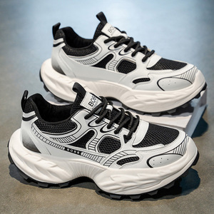 2025 Summer New Fashion Dad <b>Shoes</b> Trendy Internet Celebrity Hot Ins Brand Thick Sole Mesh Upper Running <b>Height</b> <b>Increasing</b> Casual - Product Image 2