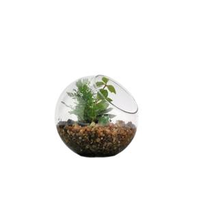 Micro-paysage en verre écologique transparent, plante succulente suspendue, mousse, <span class=keywords><strong>vase</strong></span> vert fait main pour la remise des diplômes et l'inauguration de la maison - Product Image 5