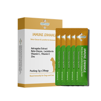 Ekstrak Akar Astragalus Berbasis Buah yang Aman, OEM ODM, Bubuk Pendukung Imunitas untuk Kucing Anjing dengan Pencernaan Sensitif, Semua Ras, Semua Usia