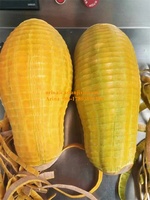 Hoge Efficiëntie Automatische Ananas Pomelo Pompoen Schilmachine Mango Watermeloen Dunschiller