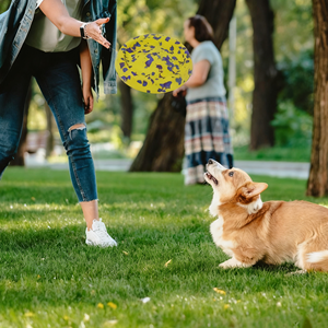 Sport all'aria aperta eco-friendly e durevole masticabile da allenamento <span class=keywords><strong>Jolly</strong></span> galleggiante anello di schiuma EVA palla disco volante medi giocattoli per cani da compagnia - Product Image 5