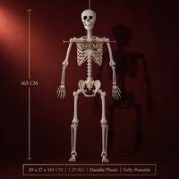 Squelette grandeur nature 165 cm pour décoration d'Halloween, vente en gros, effrayant, corps entier, accessoire pour maison hantée