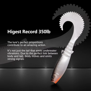 Esche Morbide 70mm 90mm 110mm, Wobbler Artificiali con Coda Curva, Esche da Pesca in Silicone, Verme Shad per Bass - Product Image 3