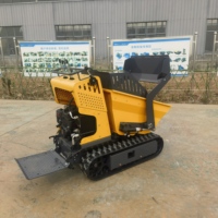 Allrad-Minilader Raupentransporter Benzinbetriebener Hydraulischer Selbstentladender Dumper 1 Jahr Garantie Hoher Drehmoment für Obstgärten