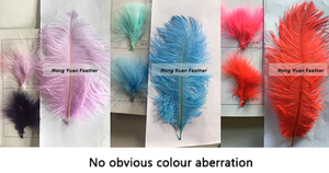 60cm 65cm En Gros Naturel Pas Cher Rouge Décor Plume Grand Blanc Noir Pièce Maîtresse Femina Longues Plumes D'autruche pour La Fête De Mariage - Product Image 5