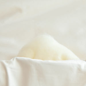 Piumino Invernale 100s in Tessuto di Puro Cotone Trapuntato Tinta Unita con Fibra di Soia e Imbottitura in Fibra Ultrafine - Product Image 5