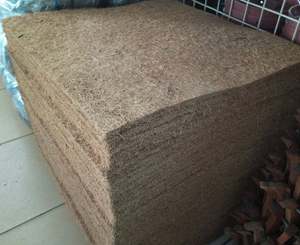 Estera de cultivo de fibra de coco NATURAL orgánica/hoja de COIR BIODEGRADABLE para MICROGREEN - Product Image 4