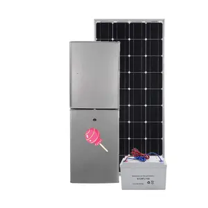 12 볼트 24 볼트 태양 광 발전 직립 싱글 도어 냉장고 냉장고 BCD-118