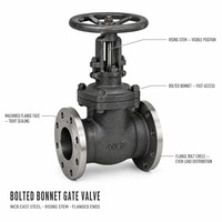 Katup Gerbang Segitiga Flens RF Rising Stem Handwheel A216 WCB Kelas 300 API 600 API 598 untuk Pipa Uap Pembangkit Listrik Langsung dari Pabrik