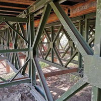 Ponts lourds préfabriqués de structure métallique de belle conception construction facile/ponts piétonniers/ponts Bailey