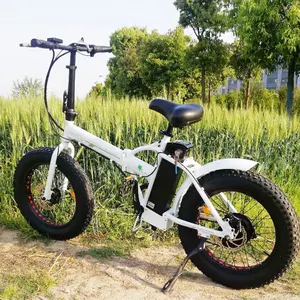 Haoling 20 접이식 전기 자전거/egobike/전기 자전거 도시 oem fatbike 후면 랙