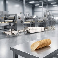 Productielijn voor samengestelde aardappelchips 800kg/uur Hoge opbrengst Stapelbare chips productiefabriek PLC-besturing SUS304