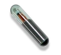 125KHZ Rfid Glass Tube Rfid Glass Tag Capsule Microchip Implant pour l'identification des animaux