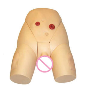 แบบจำลองการสวนปัสสาวะชายขั้นสูง อุปกรณ์ช่วยสอนการสวนปัสสาวะในมนุษย์ แบบจำลองฝึกอบรมการพยาบาลการสวนปัสสาวะ - Product Image 3