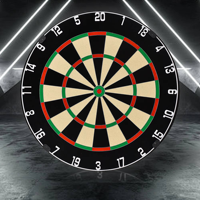 Hersteller beliebter Sisal-Borsten-Dartboards für moderne Trainingszwecke – ideal für Gemeinschaftspavillons