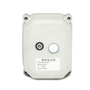 Vanne électrique miniature B150 T25 523 B 1,0 MPa, taille de port 1/2 pouce, actionneur DC24V, indice de protection IP68 - Product Image 5