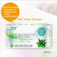 Lingettes féminines marque privée Lingettes nettoyantes féminines fraîches voyage amical PH équilibré