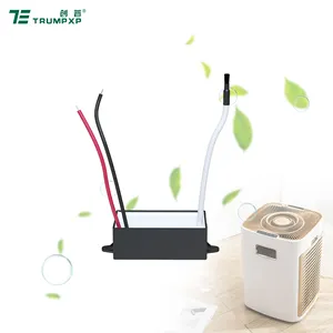 high density 30kv mini dc 12v ion generator negative ionizer module for car automobile