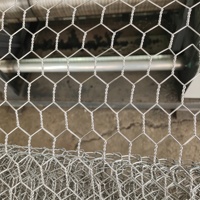 Machine automatique de fabrication de filets hexagonaux pour la production de mailles pour arrangements floraux et de cages d'élevage