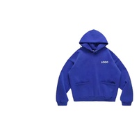 Sweat-shirts à capuche surdimensionnés de haute qualité en coton biologique 100% avec logo personnalisé en gros, 460 grammes, style lourd, plusieurs couleurs