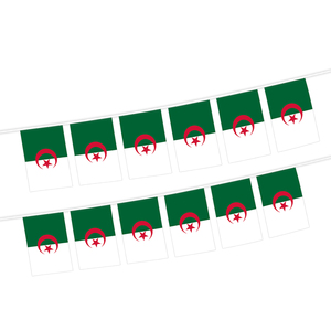 Banderines de la bandera de Argelia del fabricante al por mayor, tamaño <span class=keywords><strong>y</strong></span> patrón personalizados para decoraciones - Product Image 1