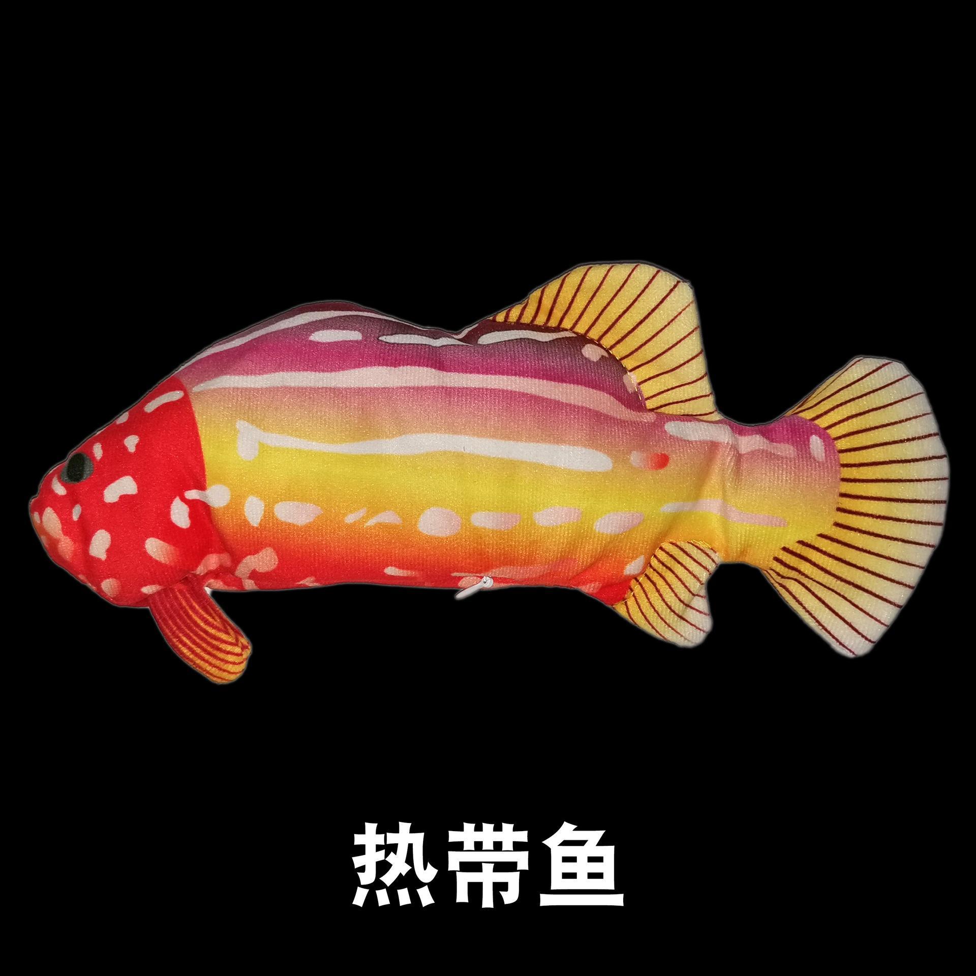 Tropical fish