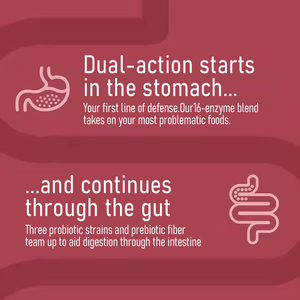 Bán buôn đa-<span class=keywords><strong>enzyme</strong></span> bổ sung viên nang hữu cơ vegan Probiotic viên nang tiêu hóa <span class=keywords><strong>enzyme</strong></span> hỗ trợ cho người lớn chăm sóc sức khỏe - Product Image 4