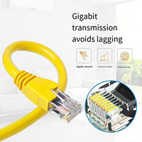 Cable de Red CAT5 CAT5E de 10m, Personalización ODM/OEM, CCA + RJ45, Ideal para Conexiones de Proyectores en Salas de Conferencias
