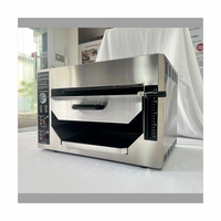 Gril à steak multifonctionnel électrique/gaz, barbecue, rôtissoire, gril à viande avec réglage automatique de la température, four à viande
