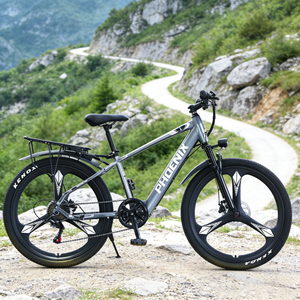 Factory Bestseller Bike 350W 48V Lithium High Load Capacity White Premium Stylish Mountain E-Bike Brushless Motor F1 7-Speed Gea - Product Image 2