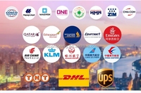 UPS Livraison rapide DHL DAP Meilleur service international Air Express Chine Arabie Saoudite Fedex LCL Transport LCL + Express