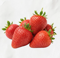 Extrait concentré de fraise TW PDRN 100ppm, matière première cosmétique liquide, extrait de Fragaria Ananassa, polynucléotide