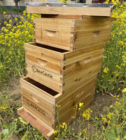 Matériel d'apiculture de haute qualité à prix abordable, ruche Langstroth avec revêtement en cire