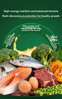 Alimento Seco Premium para Perros Adultos, 20 kg, con Alto Contenido de Proteína de Carne y Algas Marinas