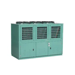 Factory Price Box Type Refrigeration Air Cooled Condenser Unit for Cold Room