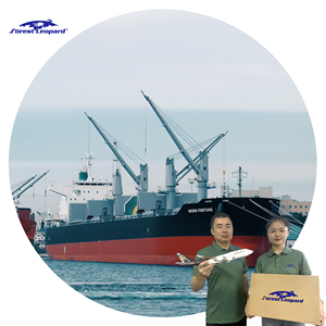 Chuyên nghiệp giá rẻ nhanh chóng điện thoại Giày DHL đại lý vận chuyển seafreight chuyển tiếp từ Trung Quốc đến mỹ Anh ca DDP nhiếp ảnh miễn phí - Product Image 1