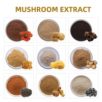 ISO Biologisch Gecertificeerd Agrocybe Aegerita Tea Tree Paddenstoelenextract Polysaccharide