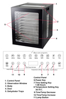 Déshydrateur alimentaire en acier inoxydable à haute efficacité, 11 plateaux, écran tactile, sécheuse à fruits et légumes, déshydrateur à viande et fruits de mer