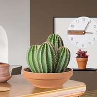 Grand pot rond en terre cuite succulente Jardinière en céramique Poterie Cactus Pots de fleurs en argile Plantes avec trou de drainage