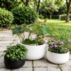 <span class=keywords><strong>Jardinière</strong></span> en plastique, fabrication par moulage direct, design à bord large et rond, style minimaliste, idéale pour la décoration du jardin et de la maison/bureau. - Product Image 6