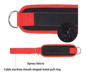 <span class=keywords><strong>Prix</strong></span> usine Gym Fitness Sangle <span class=keywords><strong>de</strong></span> cheville rembourrée avec sangles <span class=keywords><strong>de</strong></span> cheville réglables pour équipement <span class=keywords><strong>de</strong></span> <span class=keywords><strong>sport</strong></span> <span class=keywords><strong>de</strong></span> protection <span class=keywords><strong>de</strong></span> Machine à câble - Product Image 3